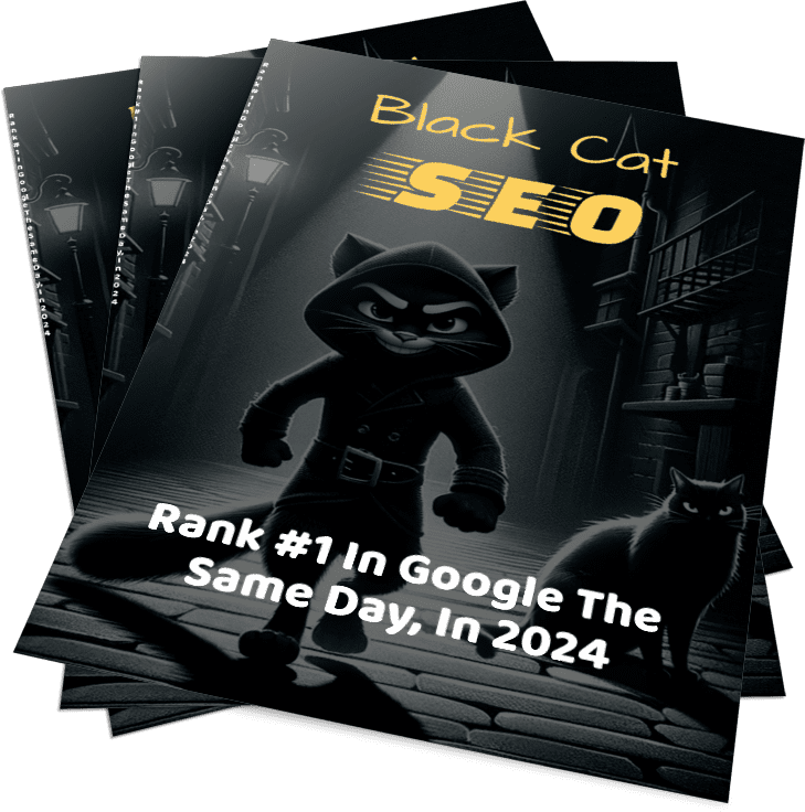 Black Cat SEO - Image 2